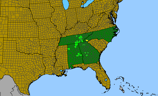 The range of Scutellaria pseudoserrata